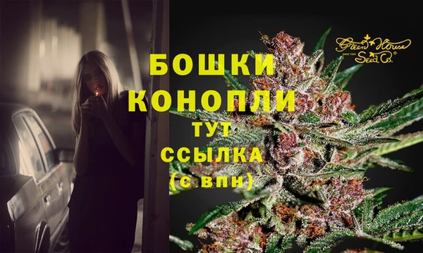 PSILOCYBIN Беломорск