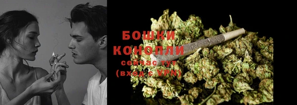PSILOCYBIN Беломорск