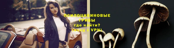 мяу мяу мука Белоозёрский