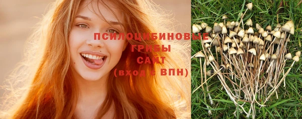 мяу мяу мука Белоозёрский