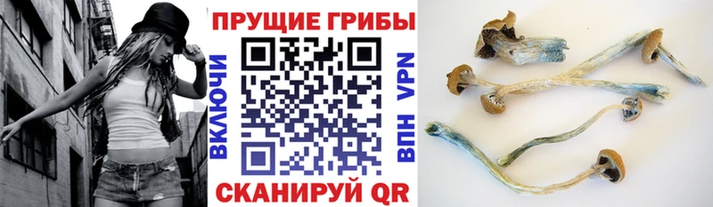 Галлюциногенные грибы ЛСД Кремёнки
